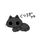 まんまるおめめの黒猫くん（個別スタンプ：10）