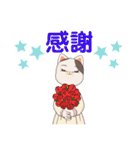 ネコちゃんなのだ（個別スタンプ：37）