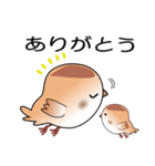 nobobi ふくらすずめ（個別スタンプ：31）