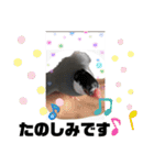 桜文鳥わすけ あいさつするわす（個別スタンプ：20）