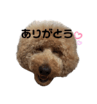 スタンプーのスタンプ(弥鼓)（個別スタンプ：1）