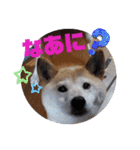 さくらと一緒 8（個別スタンプ：2）