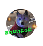 さくらと一緒 8（個別スタンプ：8）