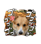 梨杏さんのスタンプ その1（個別スタンプ：17）