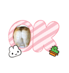 梨杏さんのスタンプ その1（個別スタンプ：22）