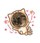 くーたんの可愛いスタンプ（個別スタンプ：8）
