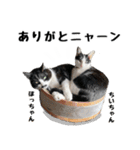 黒白ハチワレねこのハチくんスタンプ2（個別スタンプ：4）