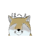 ほへぇ（狐）（個別スタンプ：3）