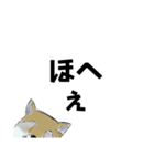 ほへぇ（狐）（個別スタンプ：8）