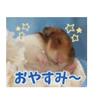 ハムスターのマルス（個別スタンプ：4）