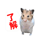 ハムスターのマルス（個別スタンプ：8）