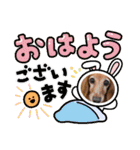 らいなのスタンプ（個別スタンプ：3）