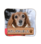 らいなのスタンプ（個別スタンプ：7）