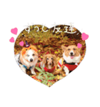 らいなのスタンプ（個別スタンプ：11）