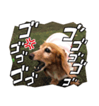 らいなのスタンプ（個別スタンプ：14）