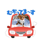 らいなのスタンプ（個別スタンプ：15）