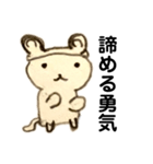 Mr.くまねこさん（個別スタンプ：27）