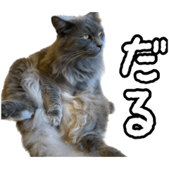 [LINEスタンプ] とにかくだるい猫のスタンプ