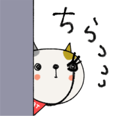 [LINEスタンプ] mottoの服を着る猫♡あると便利