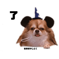 [LINEスタンプ] 使えそうで使えない犬のスタンプ