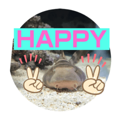 [LINEスタンプ] 愉快な生き物達！