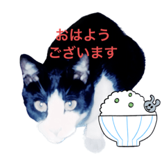 [LINEスタンプ] ワタシの愛息子