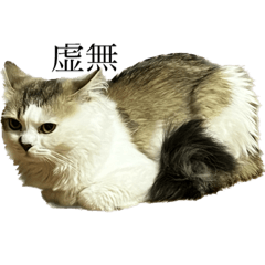 [LINEスタンプ] 虚無ザックの画像（メイン）