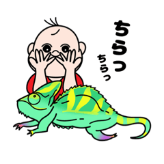 [LINEスタンプ] 赤ちゃんといっしょvol.3〜feat.Animals〜