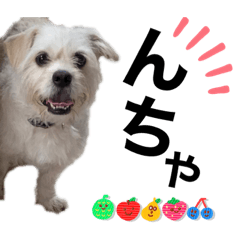 [LINEスタンプ] ぶんたくんとなかまたち