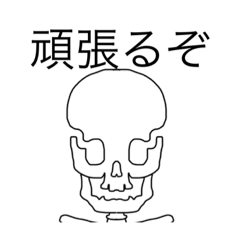 [LINEスタンプ] dodoスタンプ 骸骨の画像（メイン）