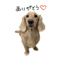 [LINEスタンプ] おれ、かいと。の画像（メイン）