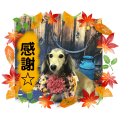 [LINEスタンプ] りん☆everyday4