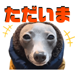 [LINEスタンプ] 「イタグレ」〜シンプル言葉集②〜