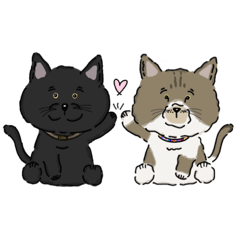 [LINEスタンプ] まっくろねことちゃいろのねこ