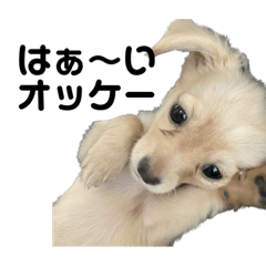 [LINEスタンプ] みるくの日常です