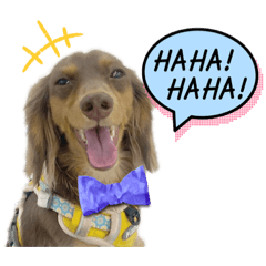 [LINEスタンプ] moka④