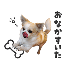 [LINEスタンプ] 関西育ちの龍之介