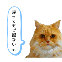 [LINEスタンプ] イヴ日記