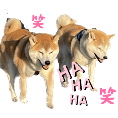 [LINEスタンプ] フクロ兄弟