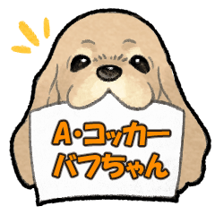 [LINEスタンプ] アメリカンコッカーのこっこ（バフ）