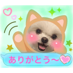 [LINEスタンプ] ♡るるちゃんスタンプ♡