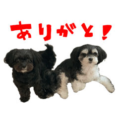 [LINEスタンプ] ここなっつ3