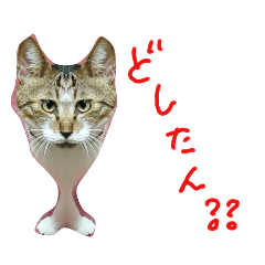 [LINEスタンプ] 変な猫たち3