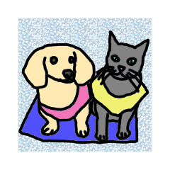 [LINEスタンプ] キラルナのスタンプ