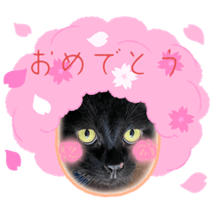 [LINEスタンプ] くらねこスタンプ