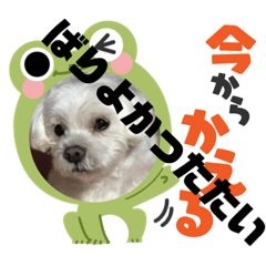 [LINEスタンプ] 未美＆未美ママ、博多への想い出の旅。