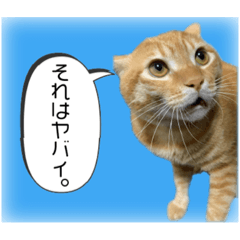 [LINEスタンプ] ちゃろスタンピぃ