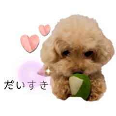 [LINEスタンプ] ちっちゃいプードルしゅくるちゃん2の画像（メイン）