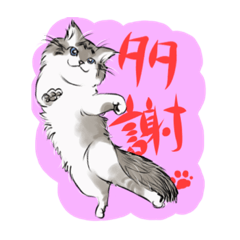 [LINEスタンプ] 猫のうみちゃん