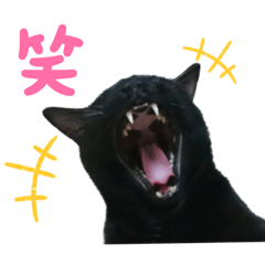 [LINEスタンプ] かしゅもちファミリー その1
